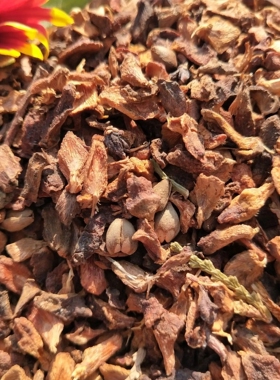 野生侧柏壳枕头填充物乌发养发安神助睡眠白发少白头失眠散装柏壳