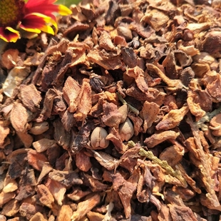 野生侧柏壳枕头填充物乌发养发安神助睡眠白发少白头失眠散装柏壳