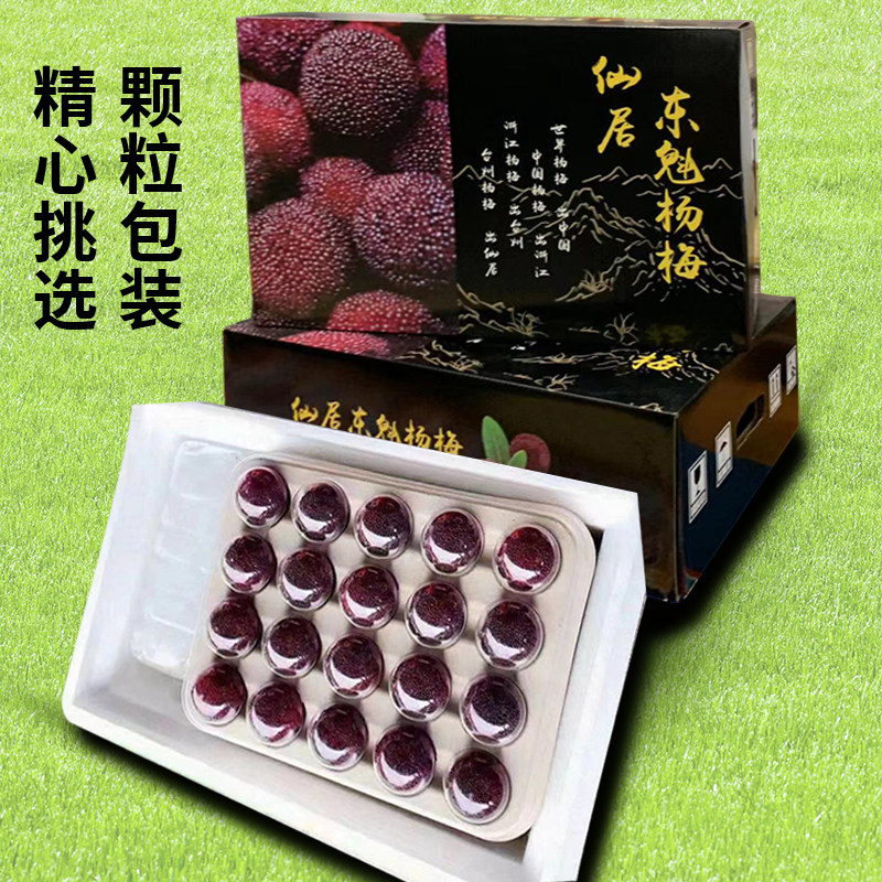 仙居东魁杨梅杨梅现摘现发
