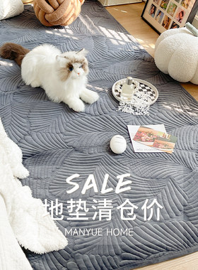 库存清仓地垫毛绒四季款地毯