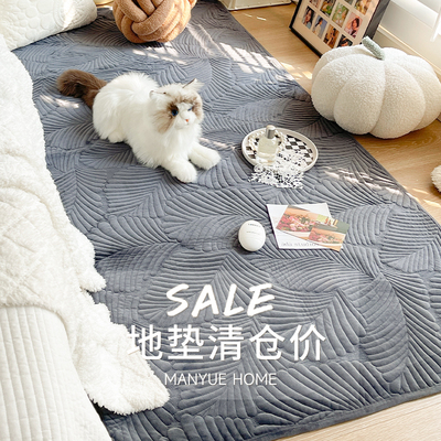 库存清仓地垫毛绒四季款地毯