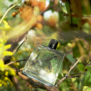 正品现货Miller Harris米勒哈瑞丝 午后伯爵茶/茶水补品 香水