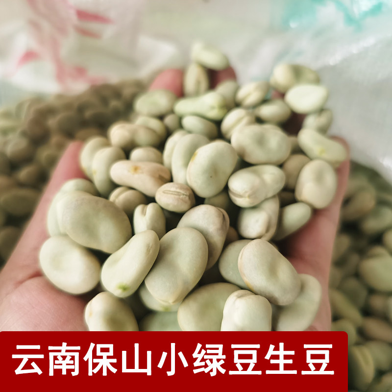 2026云南保山绿心小蚕豆5斤原味散装农家零食小吃生蚕豆500g新豆