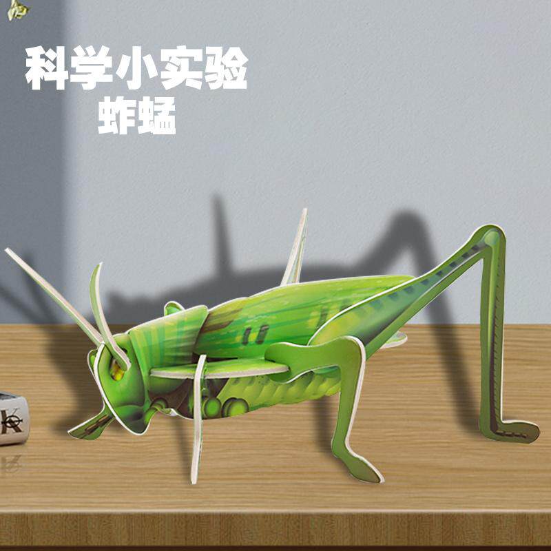 3D立体拼图蚱蜢幼儿园手工实验材料包认识昆虫科技小制作科教玩具