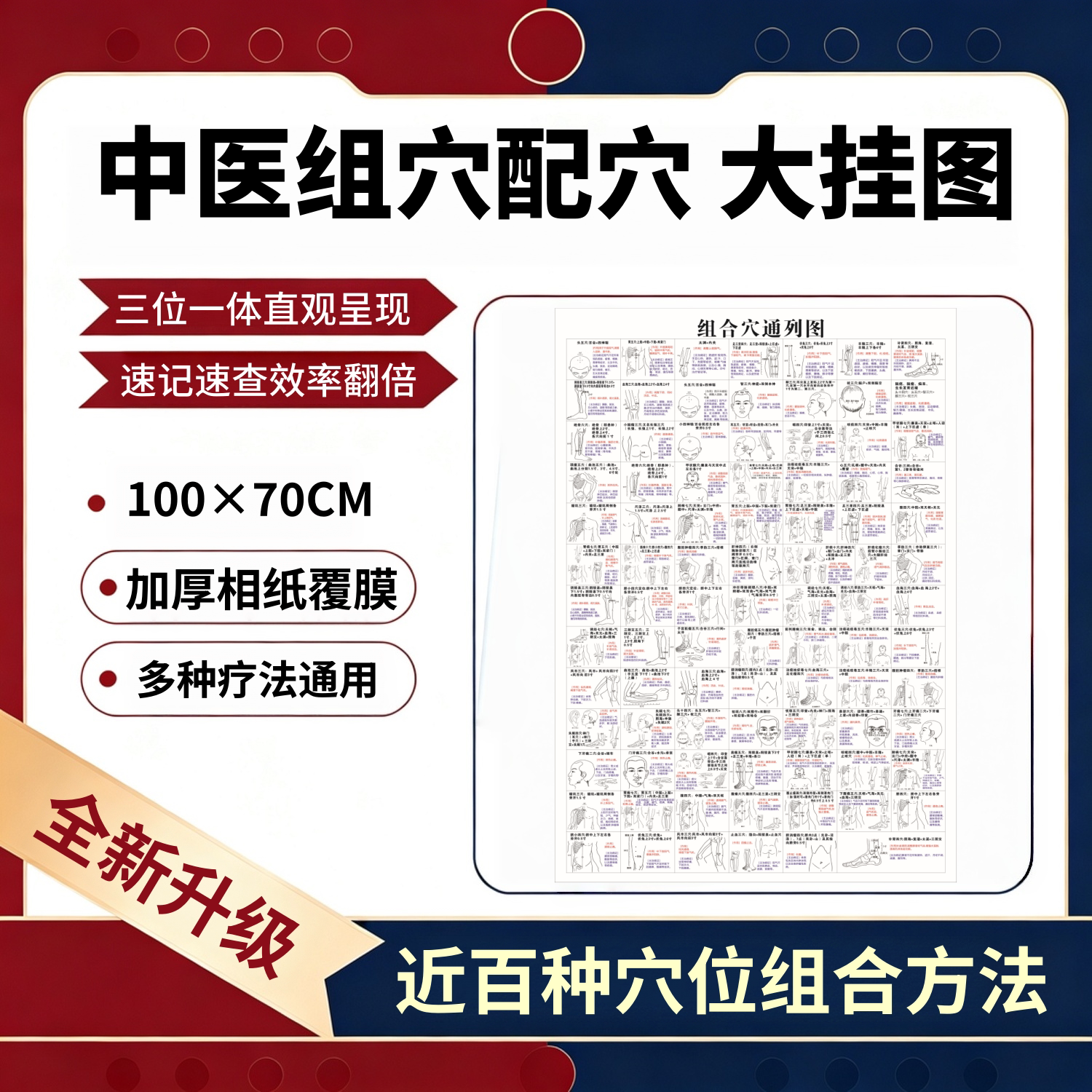 2026新【组合穴通列图】中医穴位针灸挂图70×100cm加厚相纸覆膜