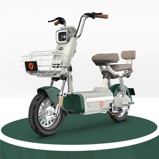 雅迪电动车C20新款 男女电动轻便摩托车 60V大电池长续航智能AP时尚