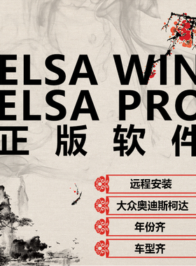 Elsawin在线电路图查询TPI维修资料保养手册适用于大众奥迪斯柯达