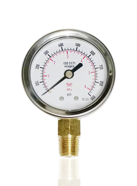 供应不锈钢压力表径向立装无油YB50 6MPA 900PSI侧装1/4PT 13.5m
