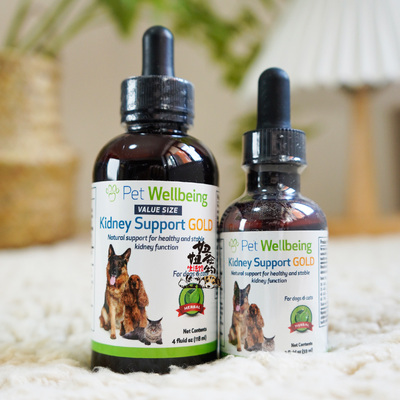 猫狗肾脏肾病护理Petwellbeing
