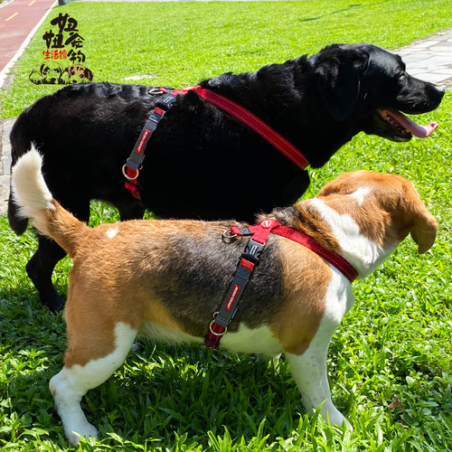ezydog澳洲舒适轻便八字胸背带