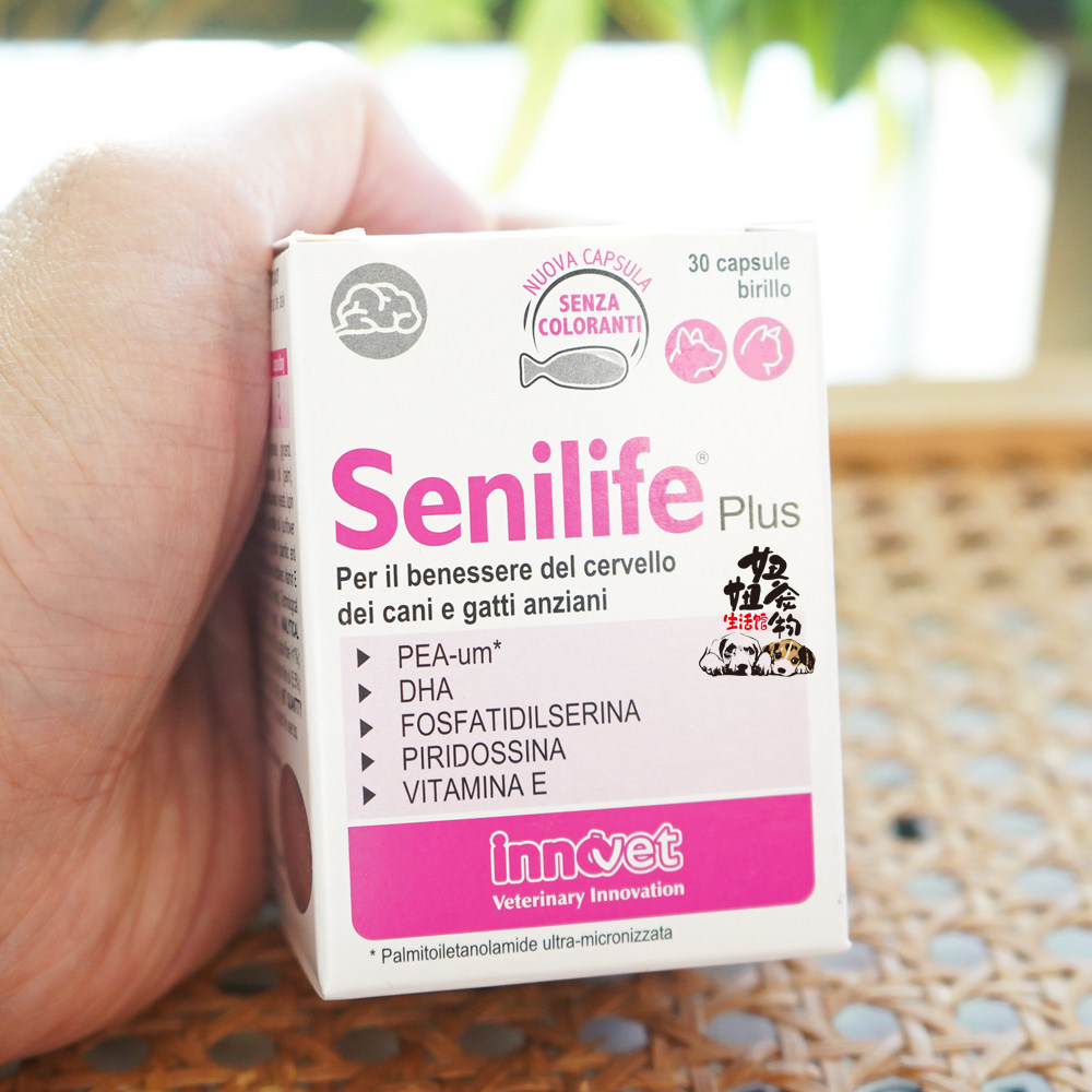 Senilife Plus猫狗老年犬痴呆智力退化认知改善衰老大脑营养补剂