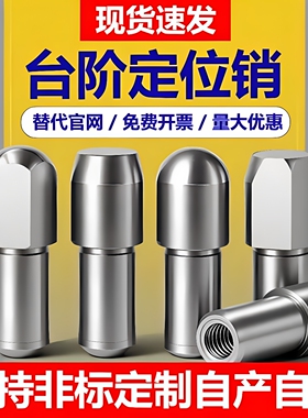 高硬度淬火定位销 MSFW 加长型 BLY01锥角圆形销工装配件非标定制