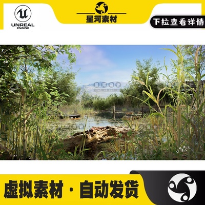 UE虚幻5 PCG Biome River Generator河流生成器可交互式水草植物