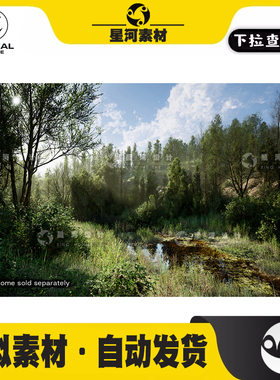 UE5虚幻5森林生物群系杨树交互式树叶 PCG Biome Forest Poplar