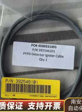 布鲁克PFPD点火线圈询价