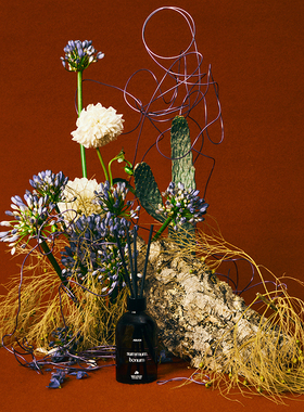 ASUCH 木兰百合花香 再好不过 无火藤条香薰精油家居客厅小众礼物