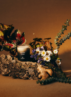 ASUCH 檀木苔藓森林无烟香薰蜡烛卧室清新助眠 生日礼物 玻璃送礼