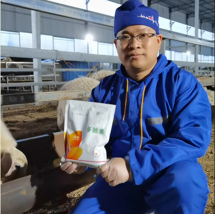 牛羊多胎素 激活卵巢活性 促进牛羊发情 增加排卵 反刍饲料添加剂