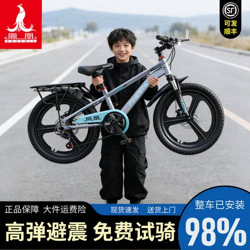 凤凰青少年变速单车高弹避震免装