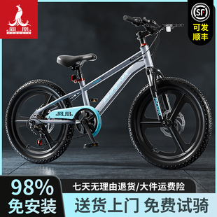 凤凰儿童自行车10到15岁女孩6 小学生专用 12岁男孩单车2025新款