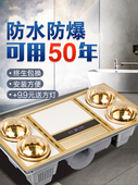 灯暖浴霸集成吊顶卫生间浴室排气扇照明一体30X60灯泡取暖暖风机