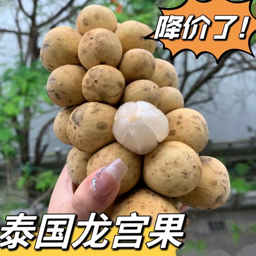 泰国进口龙宫果2-5斤新鲜热带水果龙贡果孕妇整箱代发专用发顺丰