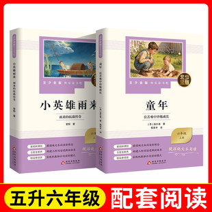 北少金版快乐读书吧 fb 童年.在苦难中淬炼成长+小英雄雨来.雨来的抗战传奇 小学生课外阅读书籍经典儿童文学  北京少年儿童出版社