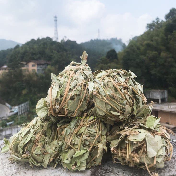 南昆深山大叶野生金钱草250g散装自晒干货广东金钱草泡茶煲汤药材