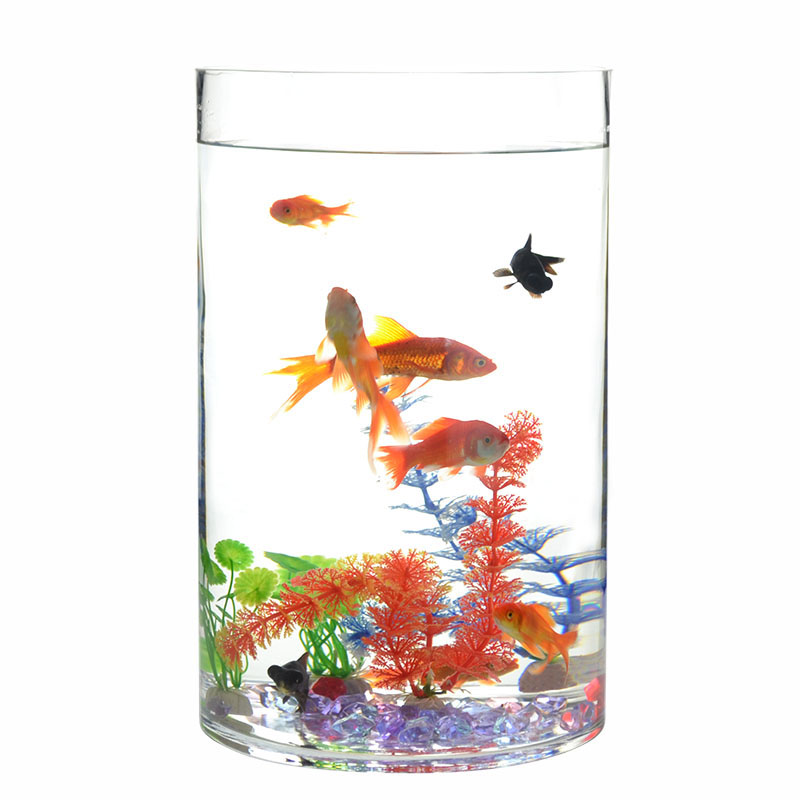圆柱鱼缸玻璃直筒鱼缸圆柱形落地立式小型金鱼缸客厅圆形鱼缸