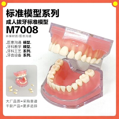 牙科牙齿模型牙模型可拔牙练习模型仿真全口可拆卸树脂牙齿模型