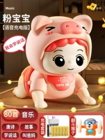 Свинья скалола