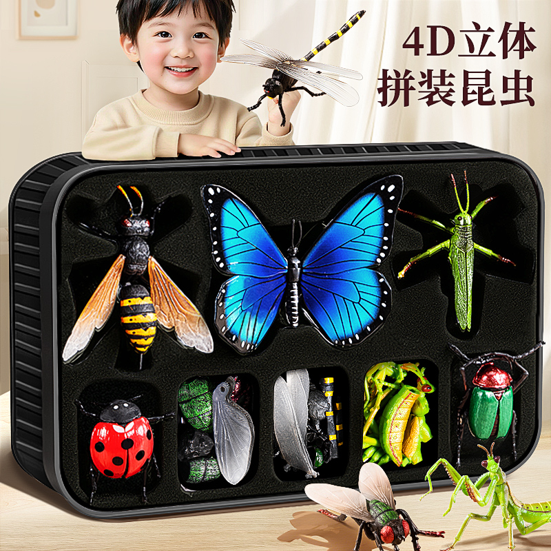 人工彩绘&仿真4D拼装昆虫模型