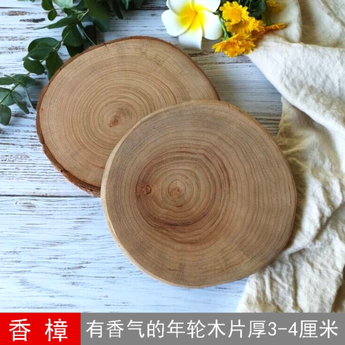 香樟年轮圆木片桌面花瓶摆件木桩