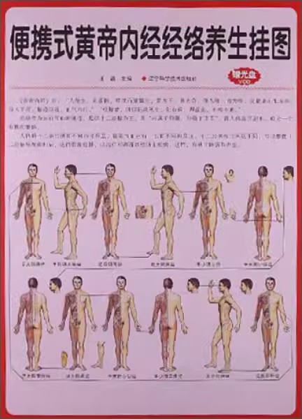 便携式黄帝内经经络养生挂图（赠光盘） 辽宁科学技术出版社9787538178425