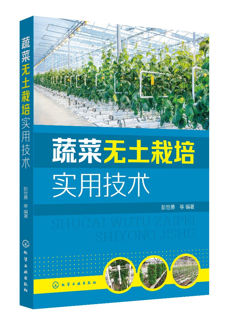 蔬菜无土栽培实用技术