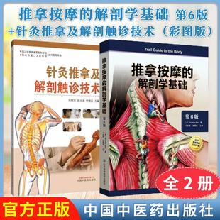 【全2册】针灸推拿及解剖触诊技术（彩图版)+推拿按摩的解剖学基础第6版 张院宝 赵云龙 李继光 主编 中国中医药出版社