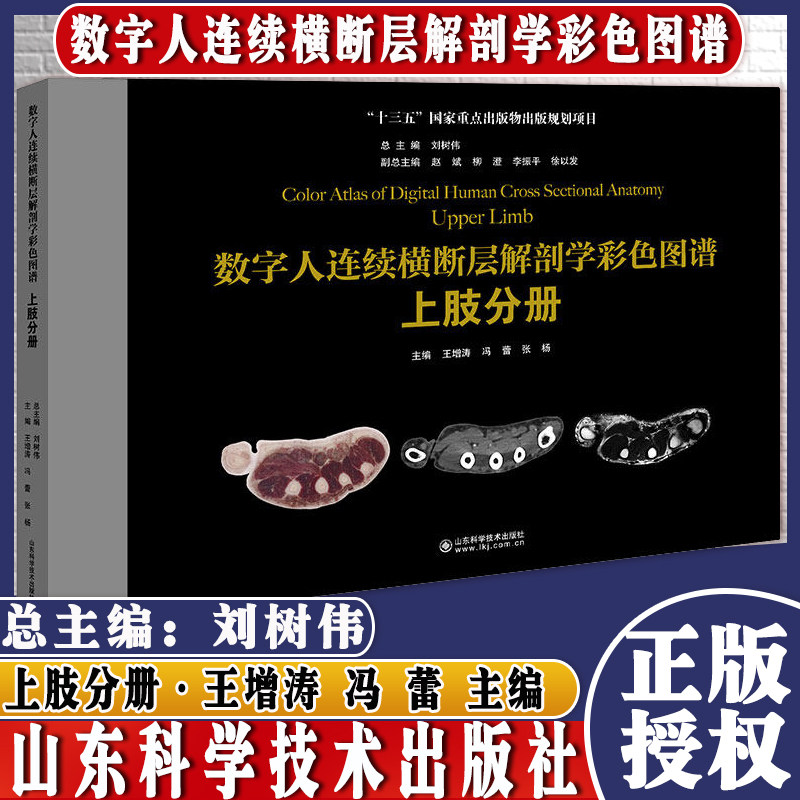 数字人连续横断层解剖学彩色图谱上肢分册王增涛 冯蕾 张杨山东科学技术出版社9787572306792