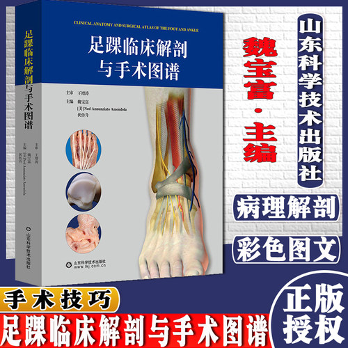 足踝临床解剖与手术图谱魏宝富足踝外科临床应用医学书籍山东科学技术出版社9787572309991