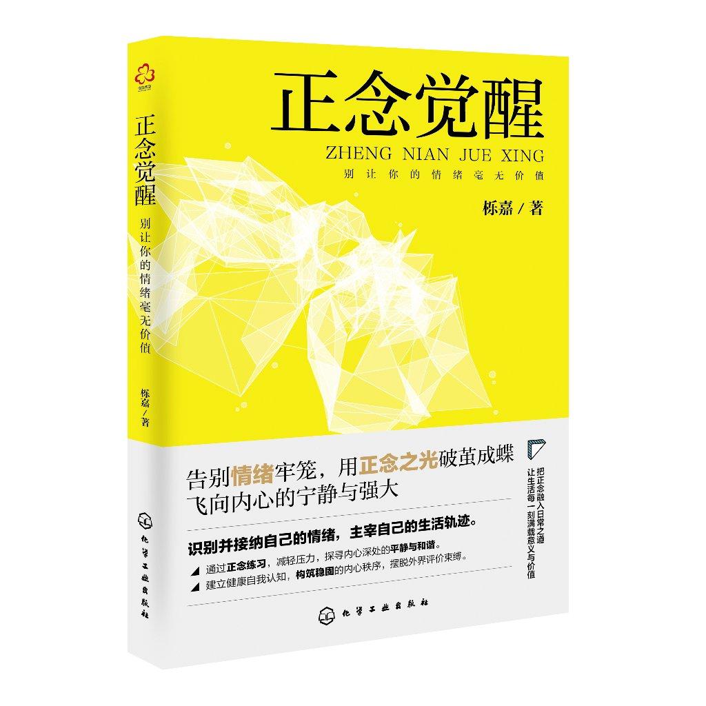 正念觉醒 别让你的情绪毫无价值 正念练习和技巧 改善情绪管理 提升生活质量 成人情绪稳定养成书记 管理情绪 提升自我 内心平静