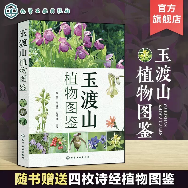 玉渡山植物图鉴 500余种玉渡山植物高清图鉴 野花植物图鉴 玉渡山野生植物轻松查 玉渡山植物辨别图册 中国植物志 常见植物辨别