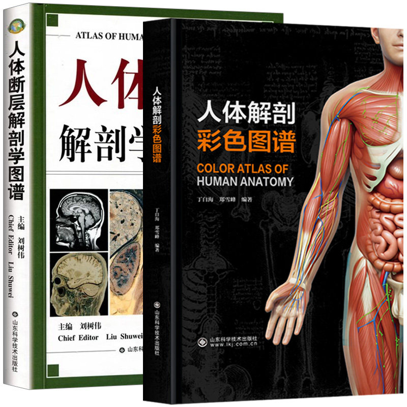 【全2册】人体断层解剖学图谱(精)+人体解剖彩色图谱 CT人体断层局部解剖影像学山东科学技术出版社