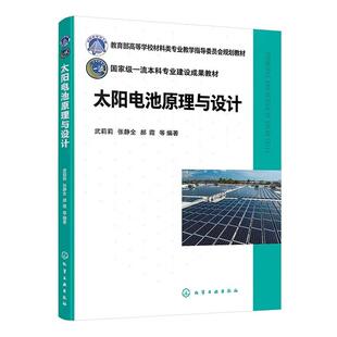 高等院校新能源材料与器件等专业应用教材 太阳电池原理与设计 不同类型太阳电池器件特点及改进 太阳电池能量损失机制 化 武莉莉