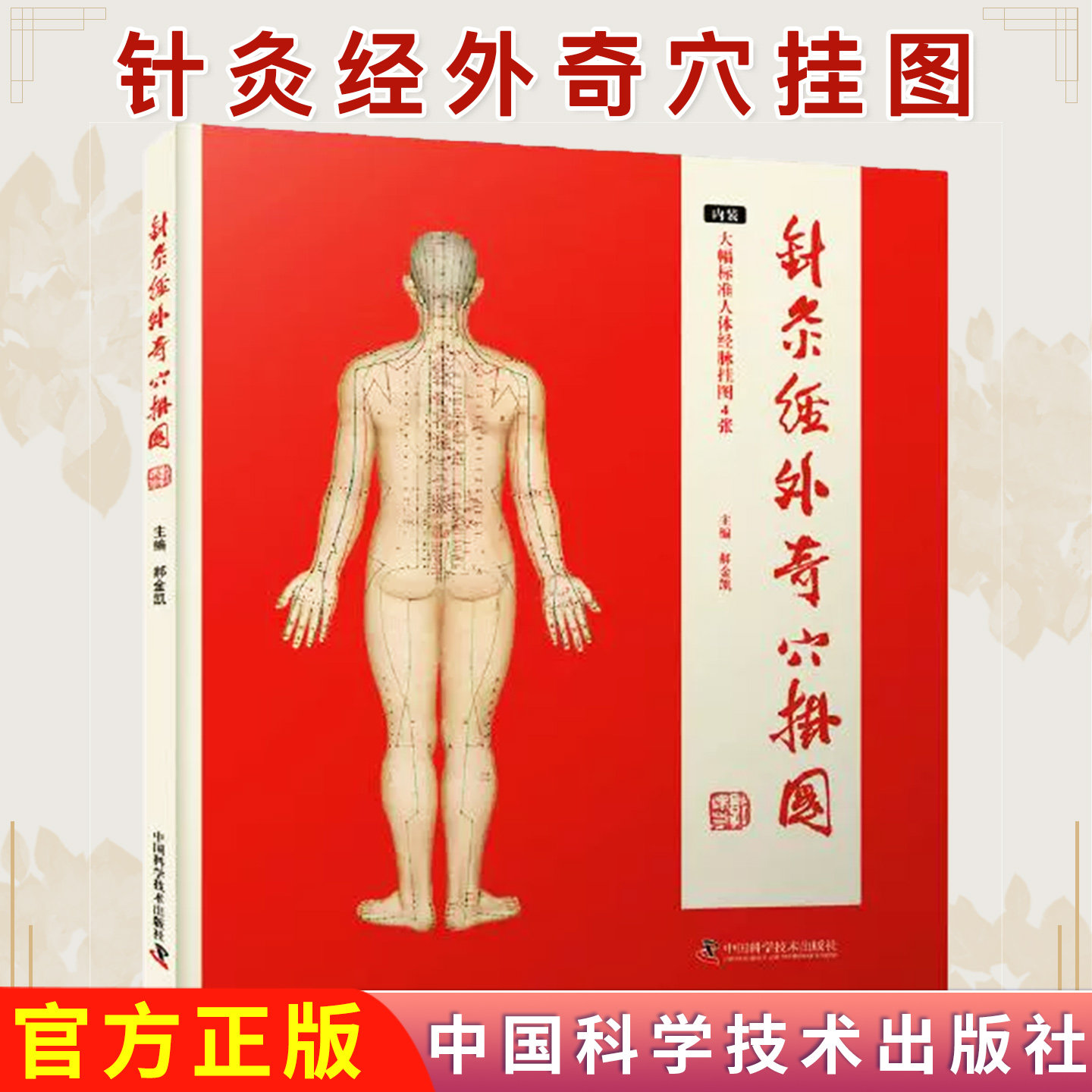 针灸经外奇穴挂图 郝金凯 经外奇穴588个实用高效针灸经外奇穴针灸挂图穴位挂图中医药专业人士针灸爱好者参考中国科学技术出版社