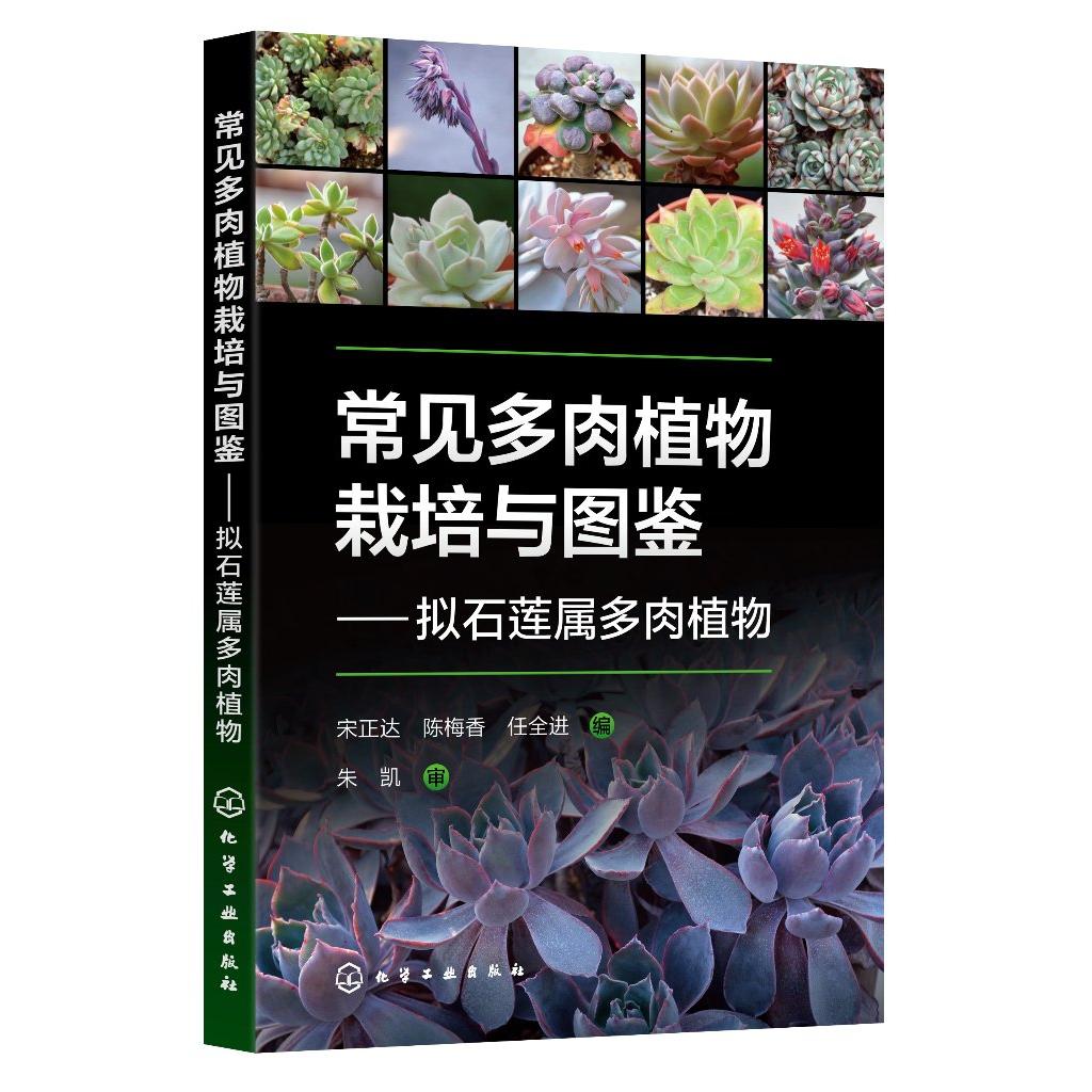 常见多肉植物栽培与图鉴——拟石莲属多肉植物