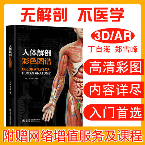 人体解剖彩色学图谱基础医学