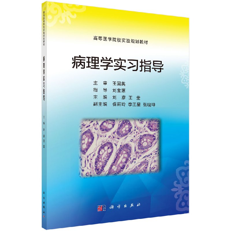 病理学实习指导 刘彦 王莹 主编 正版书籍 科学出版社9787030561725