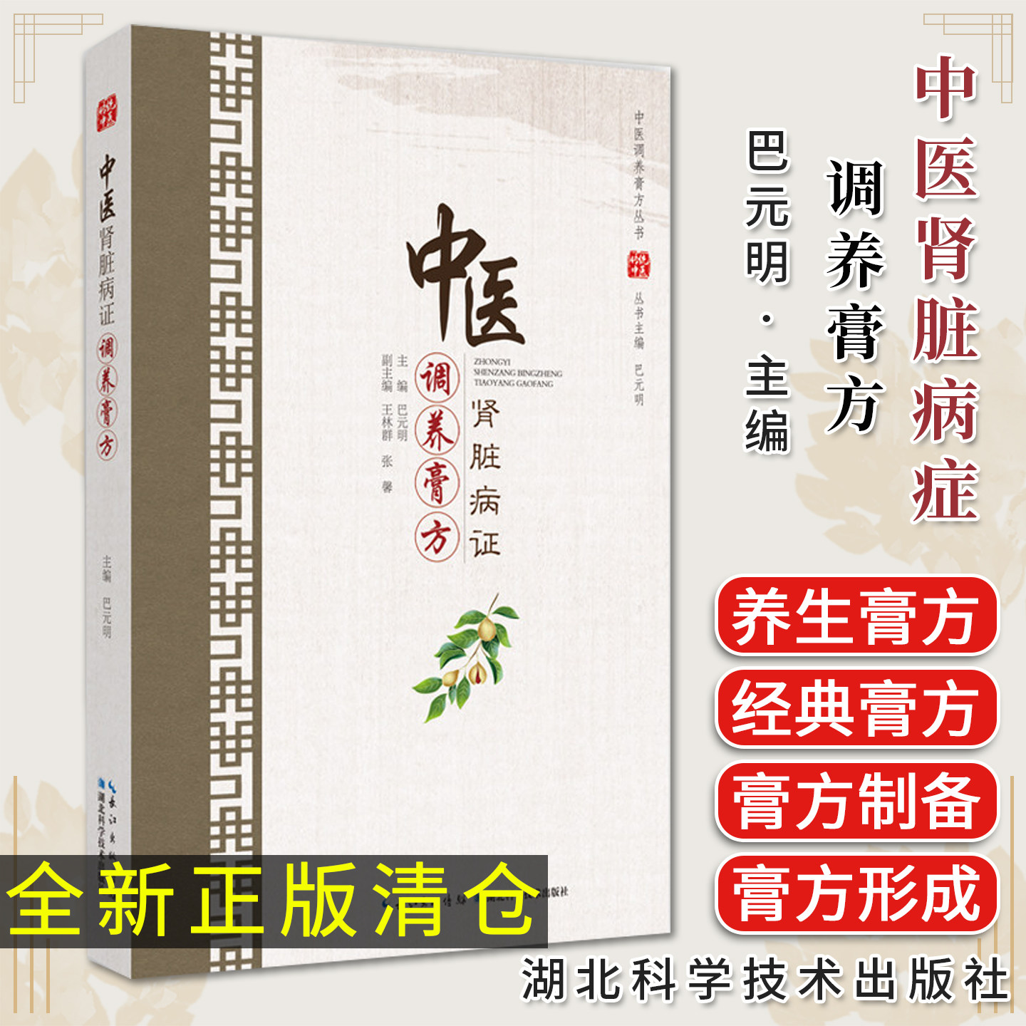 中医肾脏病证调养膏方 中医调养膏方丛书湖北科学技术出版社9787570609536