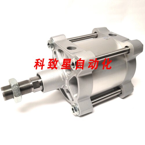 工业配件DSBG-160-40-P-N3 ISO 160MM BORE 40MM STROKE M36X2 G3