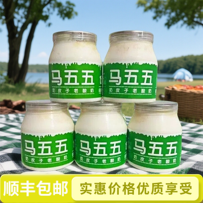 官方正品马五五奶皮子酸奶