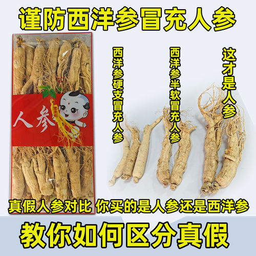 500干人参整枝长白山人参